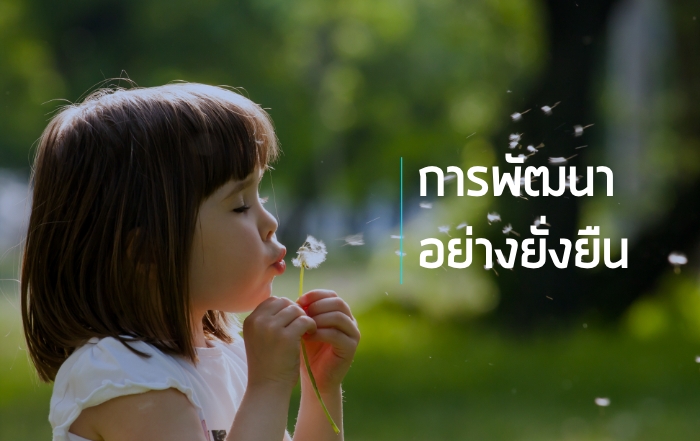 การพัฒนาอย่างยั่งยืน